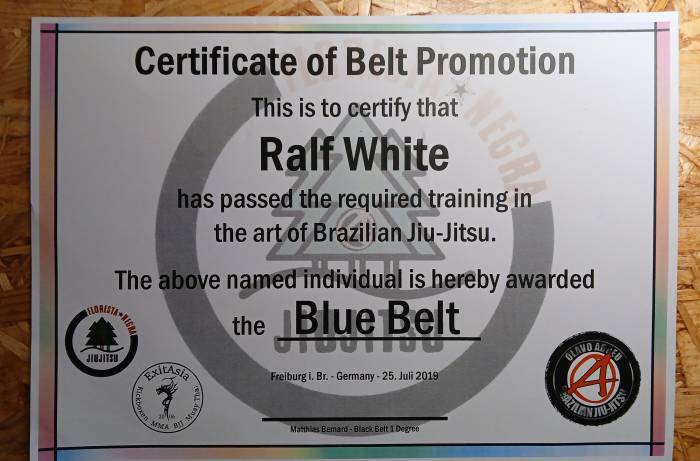 Certification (Blue Belt)