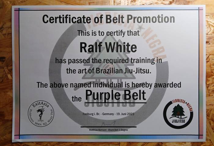 Certification (Purple Belt)