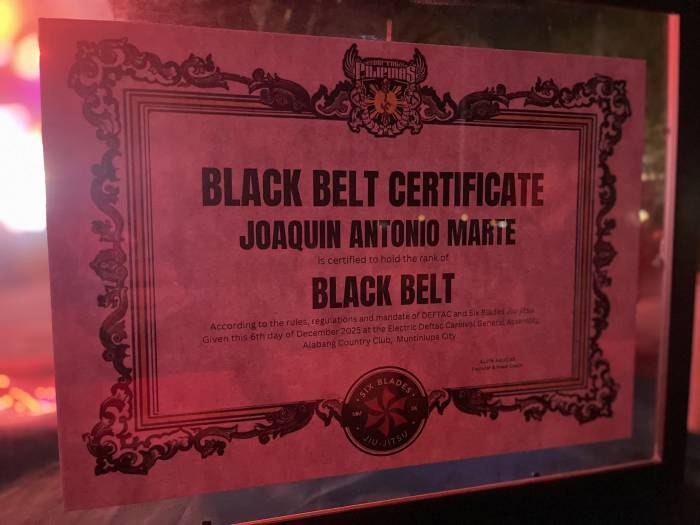 Black belt · December 6, 2025 · Promoted by Prof. Arthur Alvin Aguilar