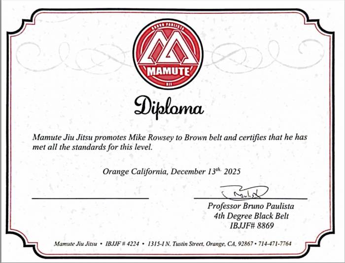 Brown belt · December 13, 2025 · Promoted by Bruno Paulista