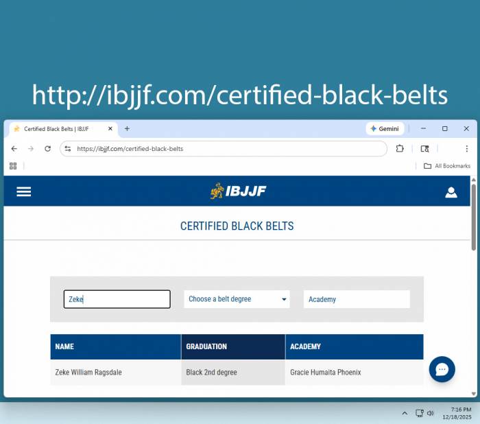 Black belt 2nd degree · December 6, 2025 · Promoted by Wellington "Megaton" Dias