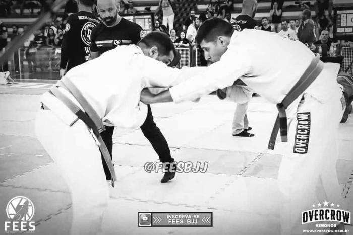 Black belt · December 15, 2015 · Promoted by Ifc
