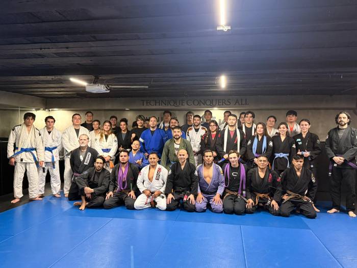 Brown belt · June 2, 2025 · Promoted by Jorge Pastor