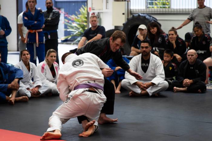 Brown belt · December 2, 2018 · Promoted by Pedro Pacheco Fernandes