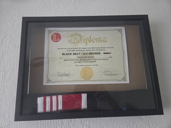 Black belt 3rd degree · December 31, 2025 · Promoted by Thiago Domingues
