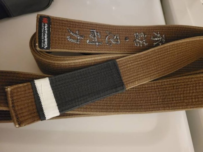 Brown belt · July 7, 2025 · Promoted by Prof. Richard Goodwin