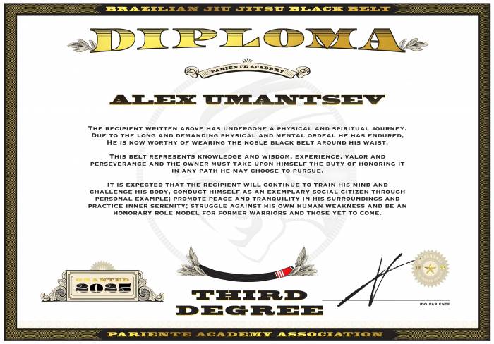 Black belt 3rd degree · May 17, 2025 · Promoted by Ido Pariente