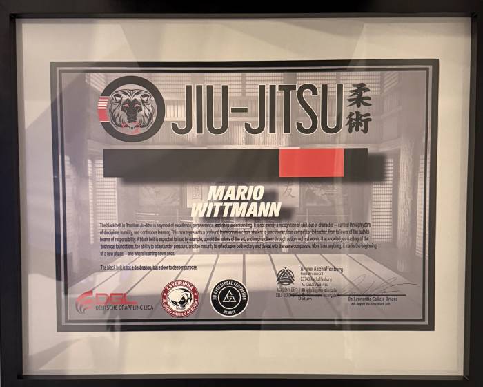 Black belt · October 25, 2025 · Promoted by Franco De Leonardis