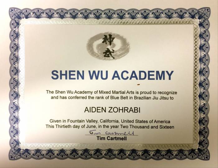 Blue belt · July 2, 2016 · Promoted by Tim Cartmell