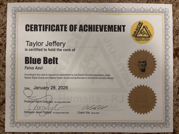 Blue belt · January 28, 2026 · Promoted by Vito Ianniciello