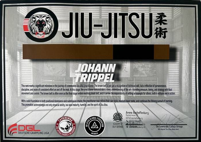 Brown belt · October 24, 2025 · Promoted by Franco De Leonardis