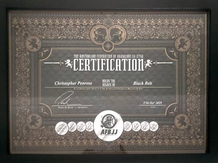 Black belt · November 19, 2024 · Promoted by Luiz Guilherme Fernandes de Jesus