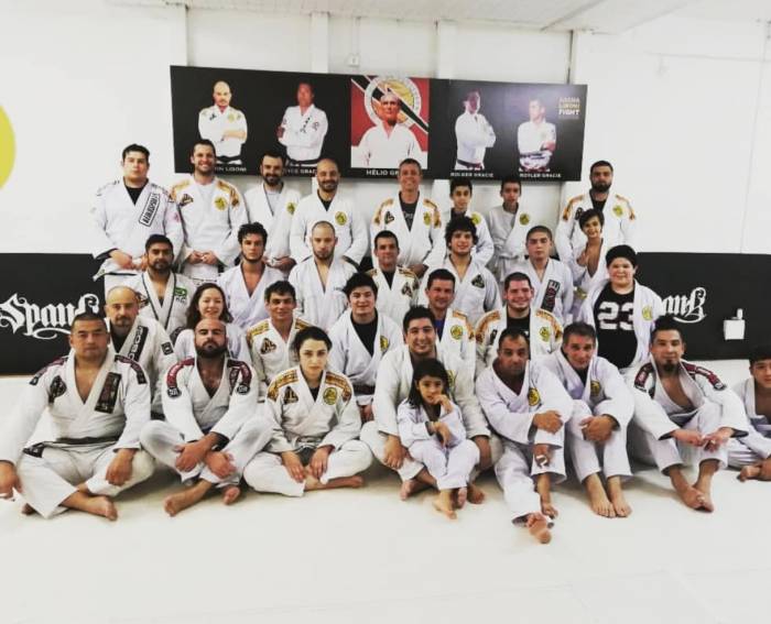 Blue belt · June 15, 2017 · Promoted by Marcelo Nigue Sandes