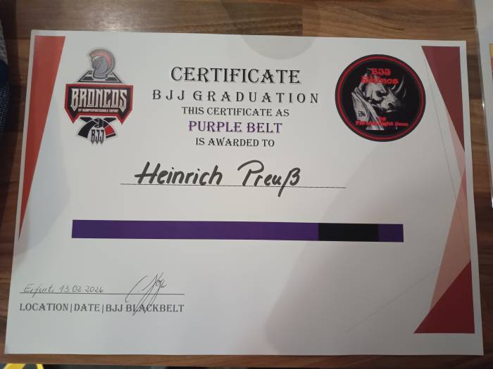 Purple belt · February 13, 2026 · Promoted by Constantin Hayn
