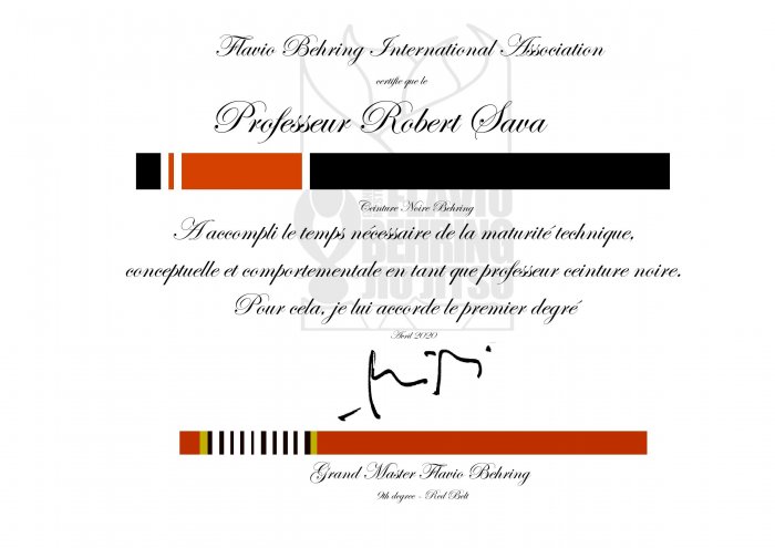 Black belt 1st degree · April 20, 2020 · Promoted by Flavio BEHRING
