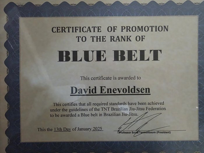 Blue belt · January 13, 2025 · Promoted by Scott Tannenbaum