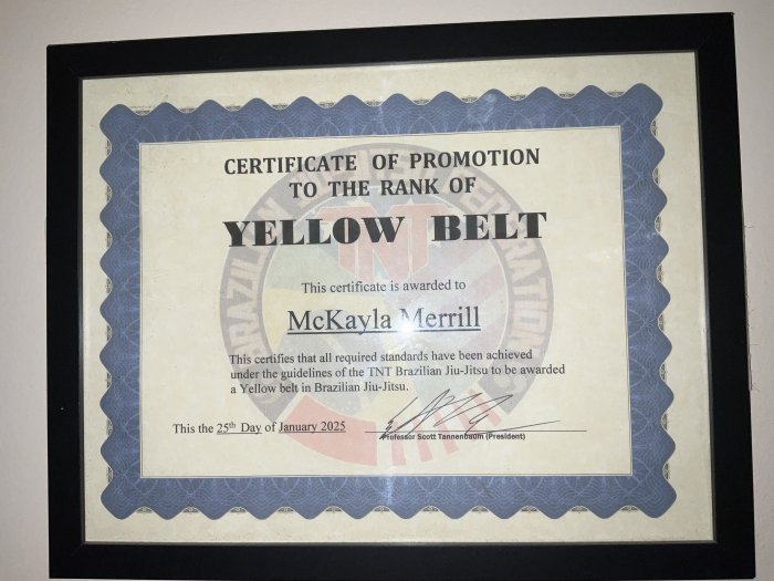 Yellow belt · January 25, 2025 · Promoted by Scott Tannenbaum