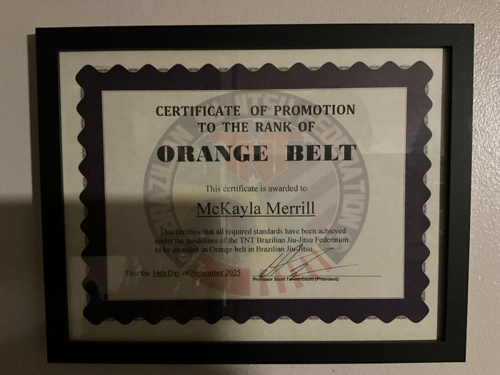 Orange belt · November 16, 2025 · Promoted by Scott Tannenbaum