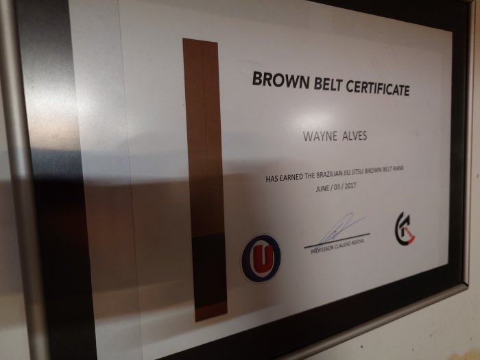 Brown belt · June 3, 2017 · Promoted by Claudio Rocha