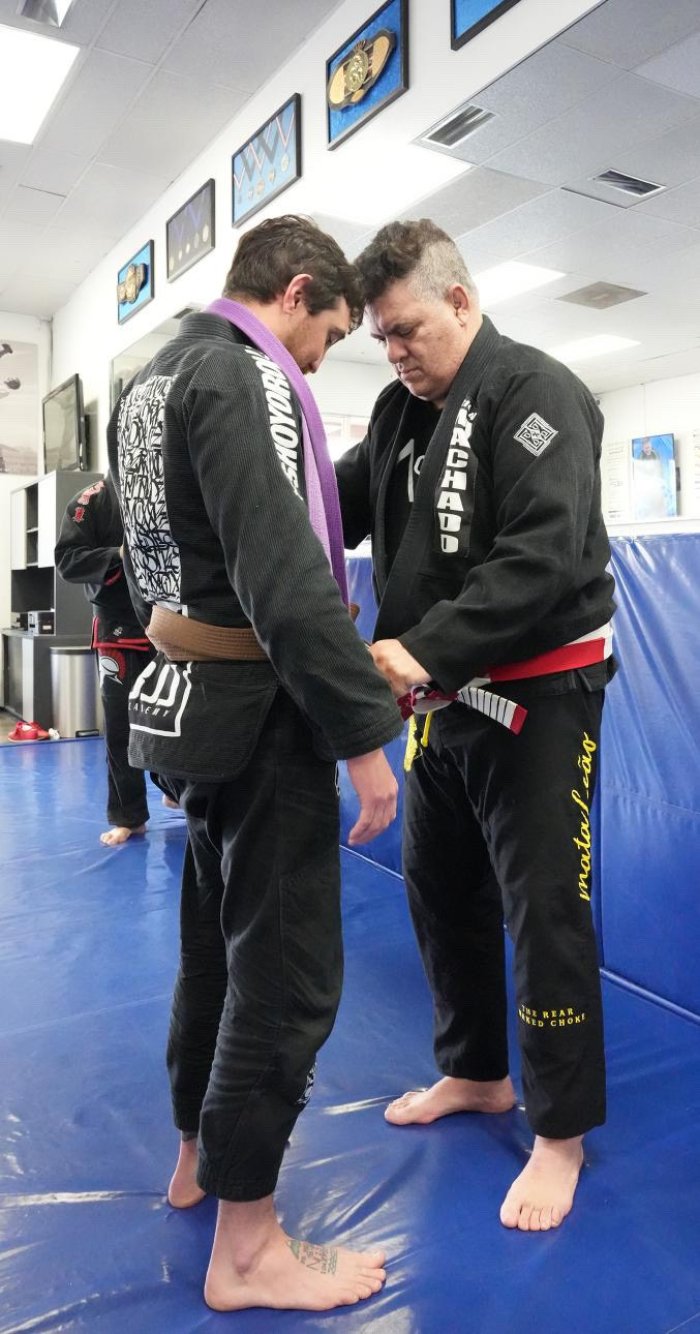 Brown belt · February 8, 2025 · Promoted by Dimitrios Mavraganis