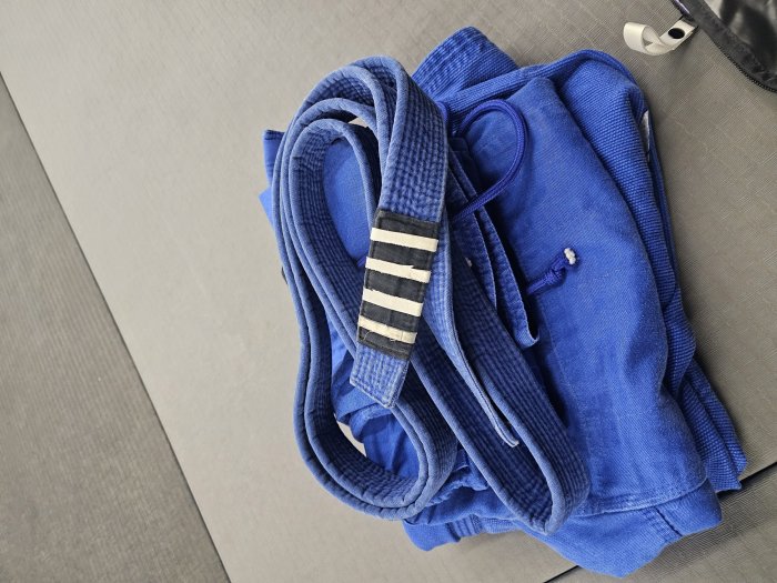 Blue belt · November 29, 2022 · Promoted by Michael Bateman