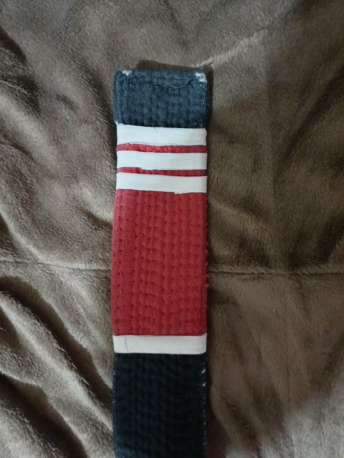 Black belt 2nd degree · November 24, 2025 · Promoted by David Elliott