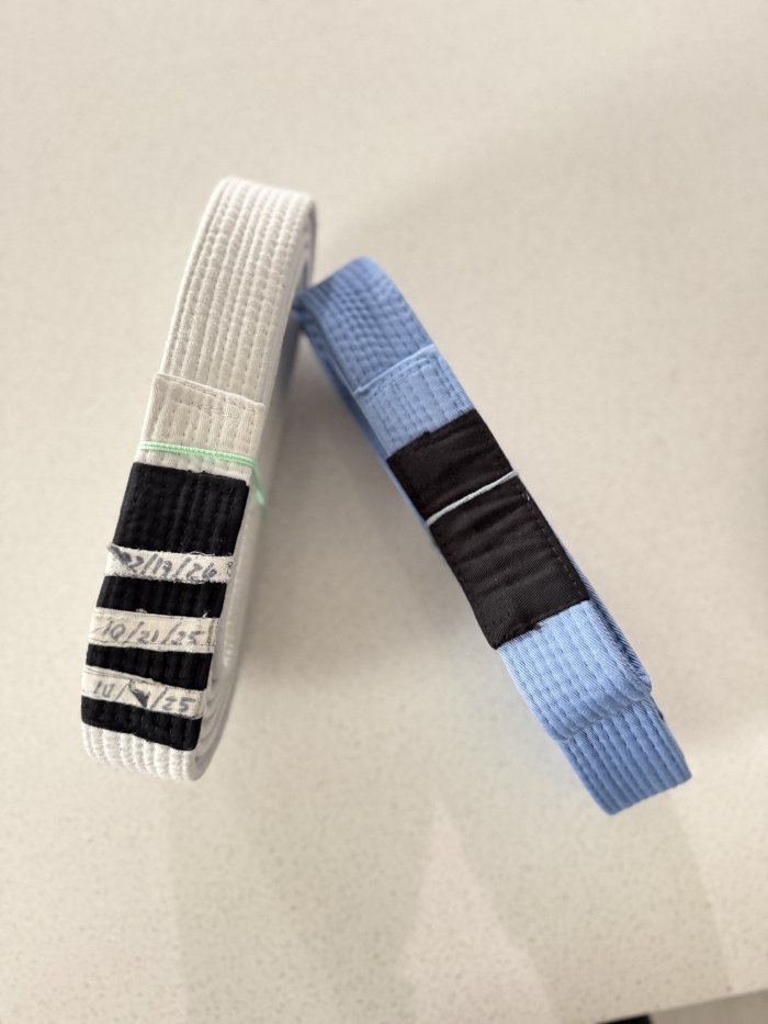 Blue belt · April 28, 2026 · Promoted by David Manjarres