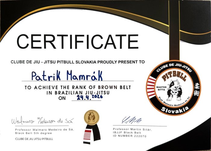 Brown belt · April 24, 2026 · Promoted by Martin Sitar