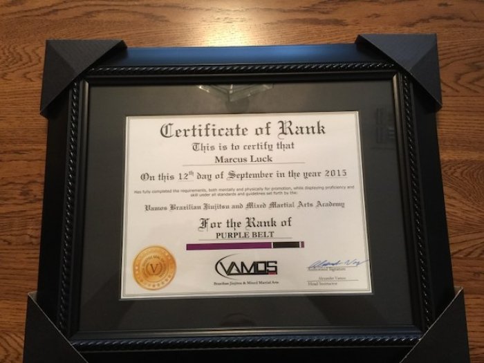 Purple belt · September 12, 2015 · Promoted by Alex Vamos