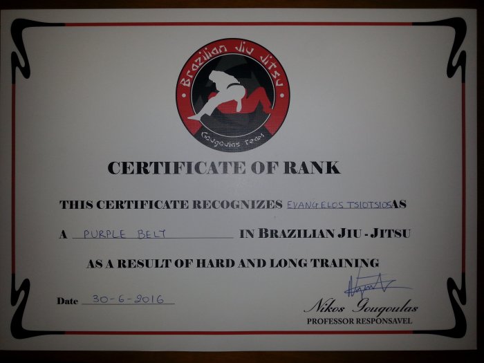 Purple belt · June 30, 2016 · Promoted by Nikos Gougoulas