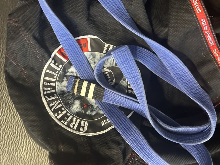 Blue belt · May 6, 2008 · Promoted by Bob Vereecke