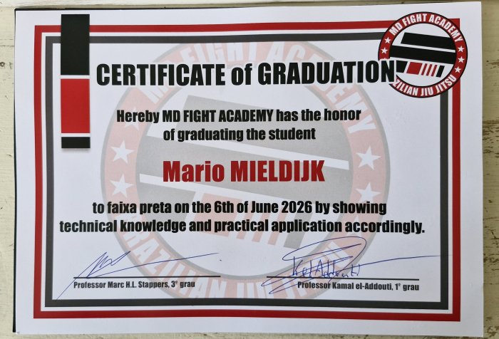 Black belt · June 6, 2026 · Promoted by Marc Stappers
