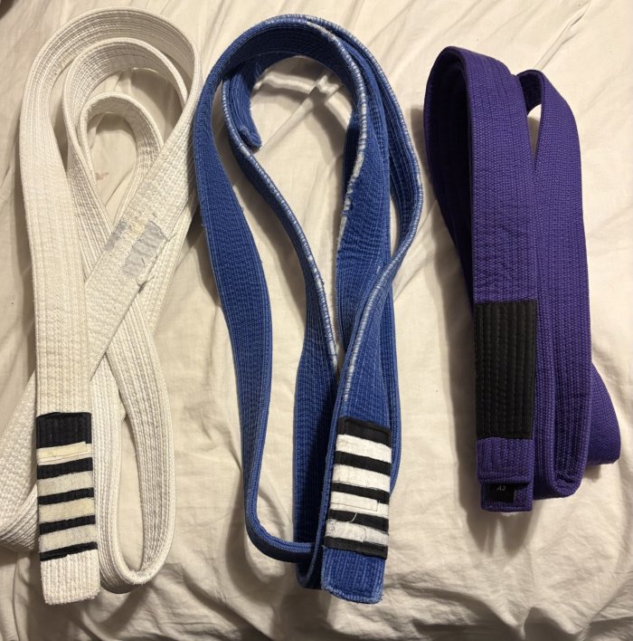Purple belt · June 15, 2026 · Promoted by Aarron Loudermill