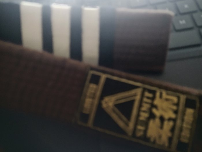 Brown belt · December 4, 2023 · Promoted by Professor Erico Bueno