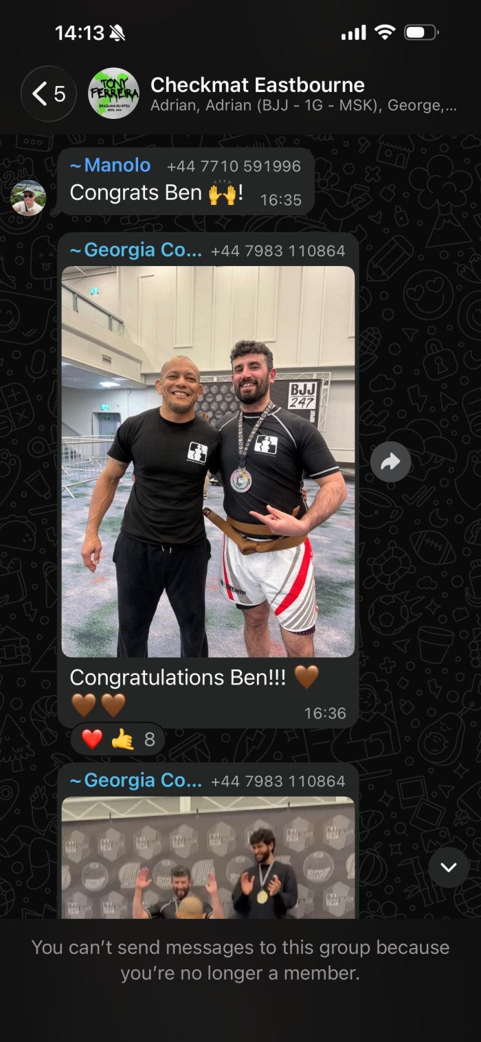 Brown belt · April 10, 2026 · Promoted by Tony Ferreira