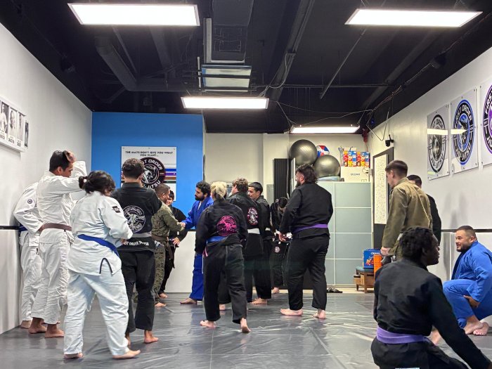 Brown belt · June 25, 2026 · Promoted by Michael Fernandez