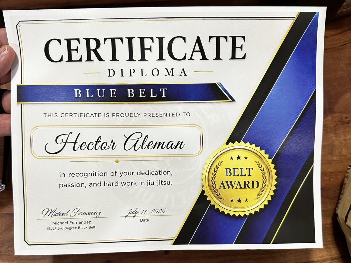Blue belt · July 11, 2026 · Promoted by Michael Fernandez