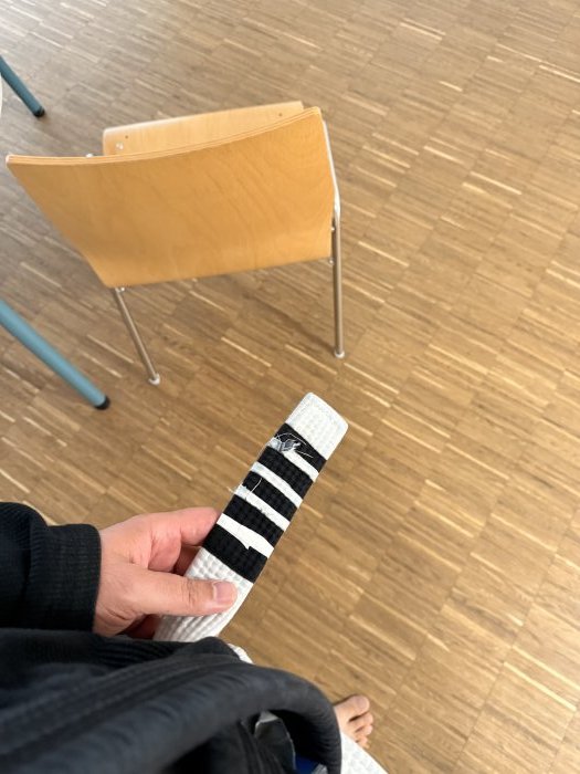 White belt · March 4, 2025