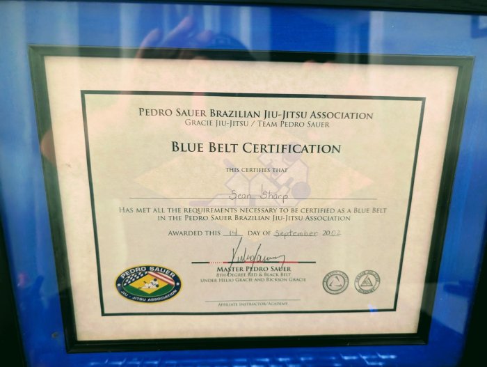 Blue belt · September 14, 2002 · Promoted by Pedro Sauer