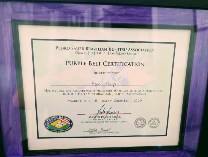 Purple belt · December 15, 2007 · Promoted by Pedro Sauer
