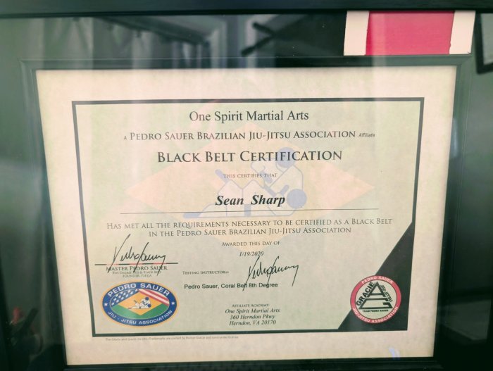 Black belt · January 19, 2020 · Promoted by Pedro Sauer