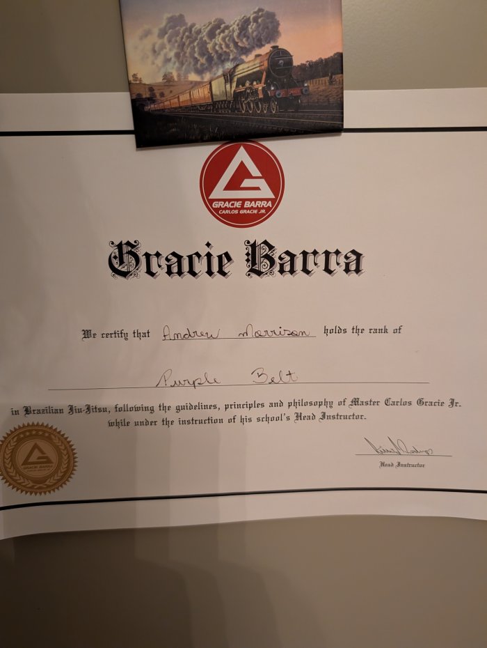 Purple belt · July 6, 2024 · Promoted by Lúcio Rodrigues