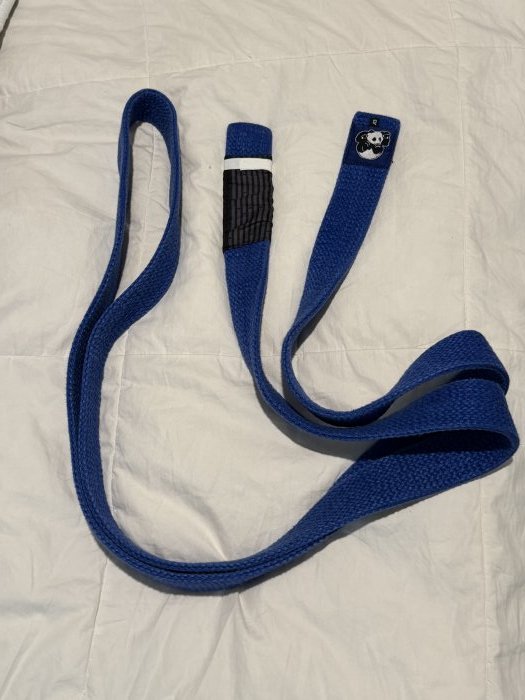 Blue belt · July 26, 2025 · Promoted by Vincent Anzelone