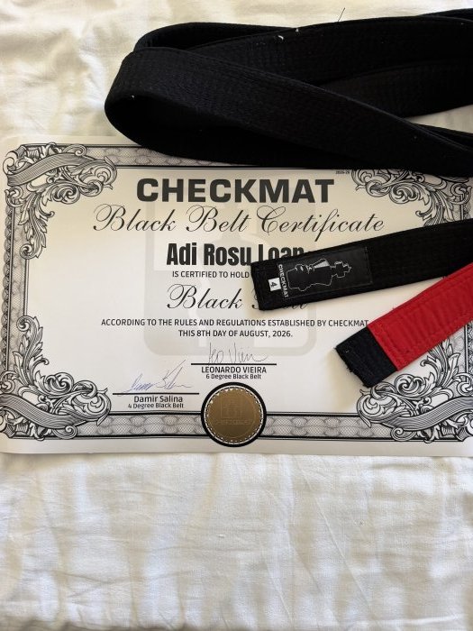 Black belt · August 8, 2026 · Promoted by Leo Vieira