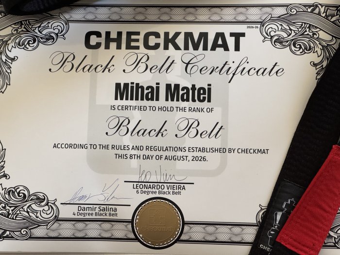 Black belt · August 8, 2026 · Promoted by Damir Salina