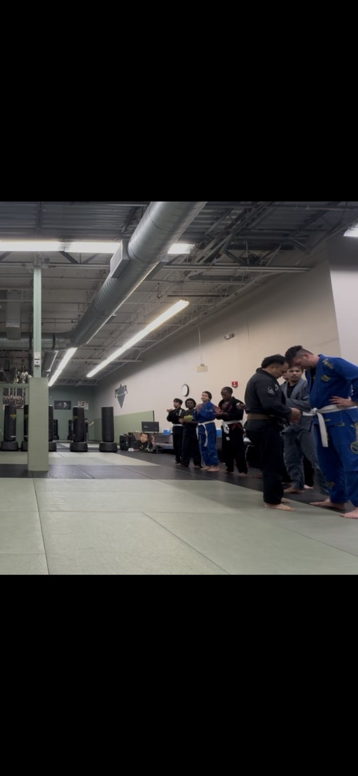 White belt · February 19, 2025