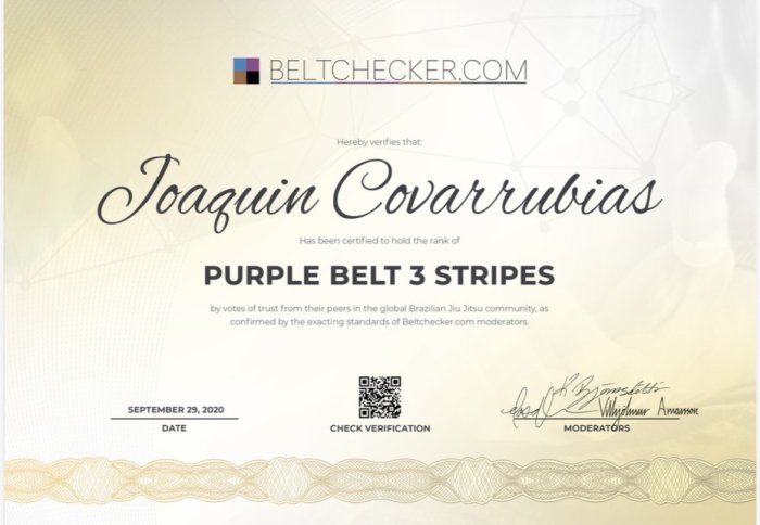 Purple belt · January 3, 2019 · Promoted by Jose Luis Figueroa