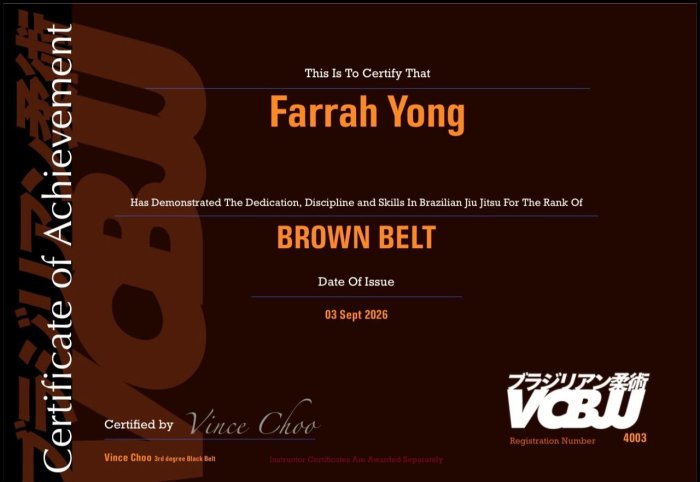Brown belt · September 3, 2026 · Promoted by Kwokyin Choo