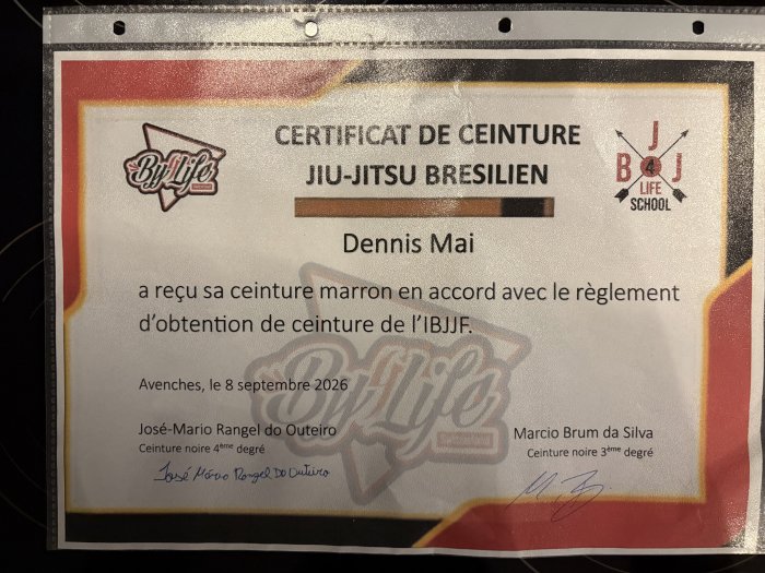 Brown belt · September 8, 2026 · Promoted by Marcio Brum da Silva
