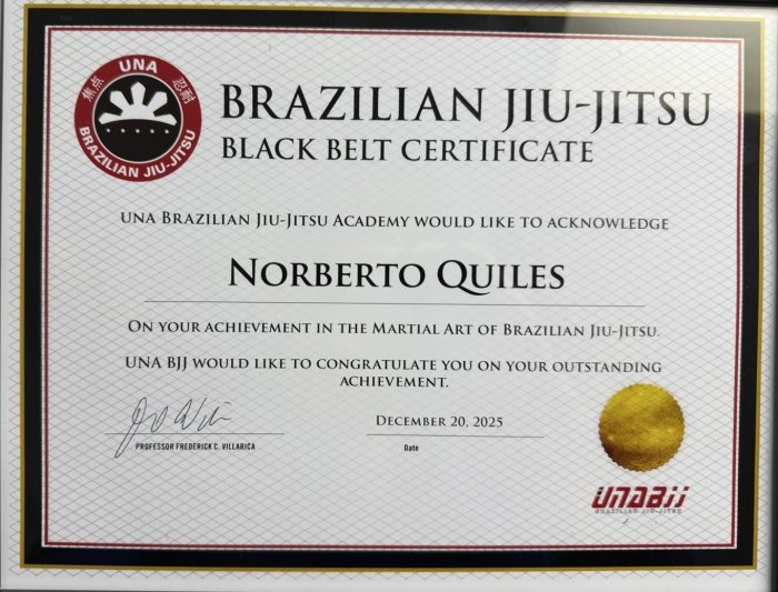 Black belt · December 20, 2025 · Promoted by Frederick Villarica